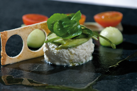 gastroNOV-2