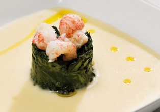 gastroMayo1_1