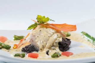 gastro sep-1_1
