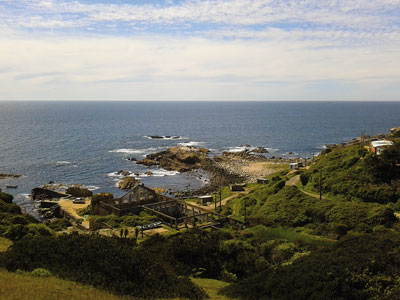 chome-1