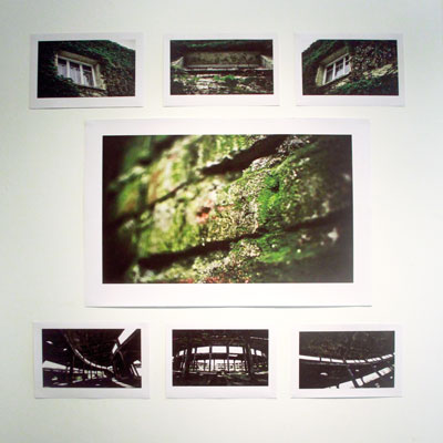bita-Estudio-Pulso