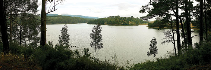 publi-CPCC