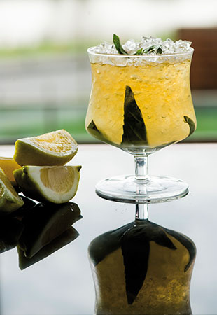 gastro agosto-6