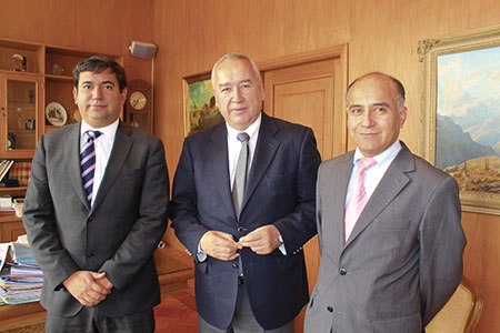 neg-Telefóica del Sur