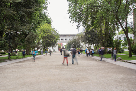 foto6-6