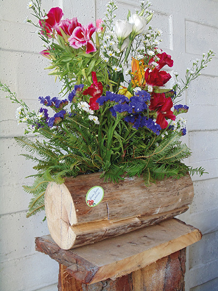 bitacora-flores-dsc02819
