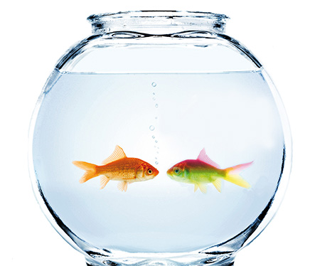 vida sana-fishbowl_by_nasdreas
