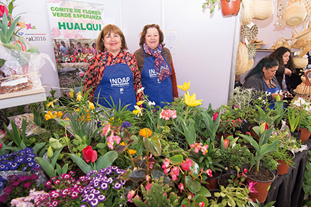 publi-Expo Mundo Rural_ALTA_772