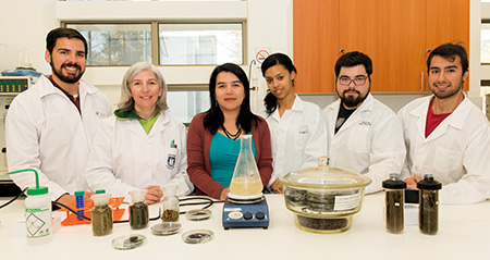 biomateriales ING UDEC-1