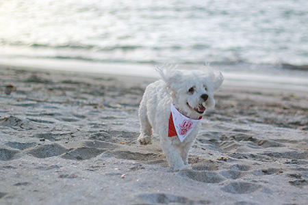 bita_cloo-Bandana_verano_17