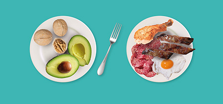 platos2